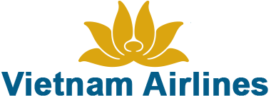VN logo