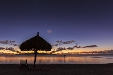 Moorea - &#39;con thằn lằn màu vàng&#39; xinh đẹp của thế giới