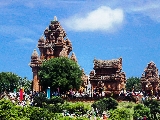 Khám phá Đà Lạt - Cam Ranh - Phan Rang trong 3 ngày nghỉ Tết