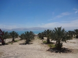 Trải nghiệm cảm giác tự nổi và làm đẹp tự nhiên ở Biển Chết