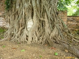 3 giờ khám phá cố đô Ayutthaya