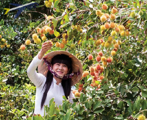 Du lịch Bến Tre