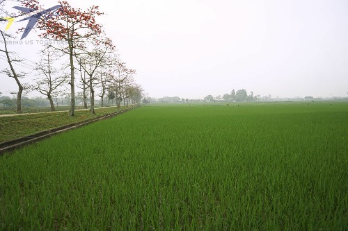 Du lịch Long An