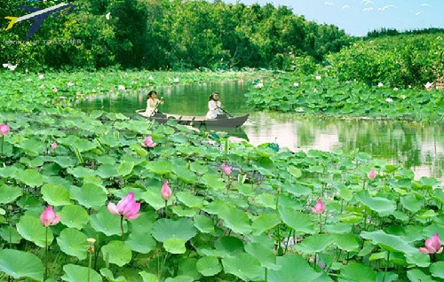 Du lịch Long An