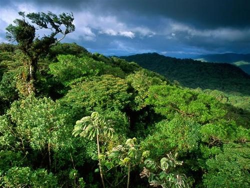 vé máy bay đi costa rica