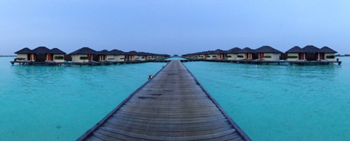 ve may bay di maldives